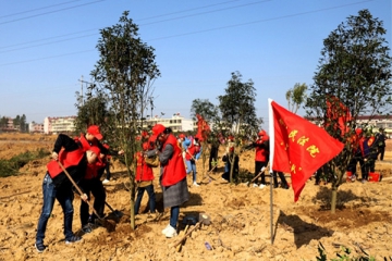 桐城法院“六尺巷”文明实践志愿服务队参加植树节活动